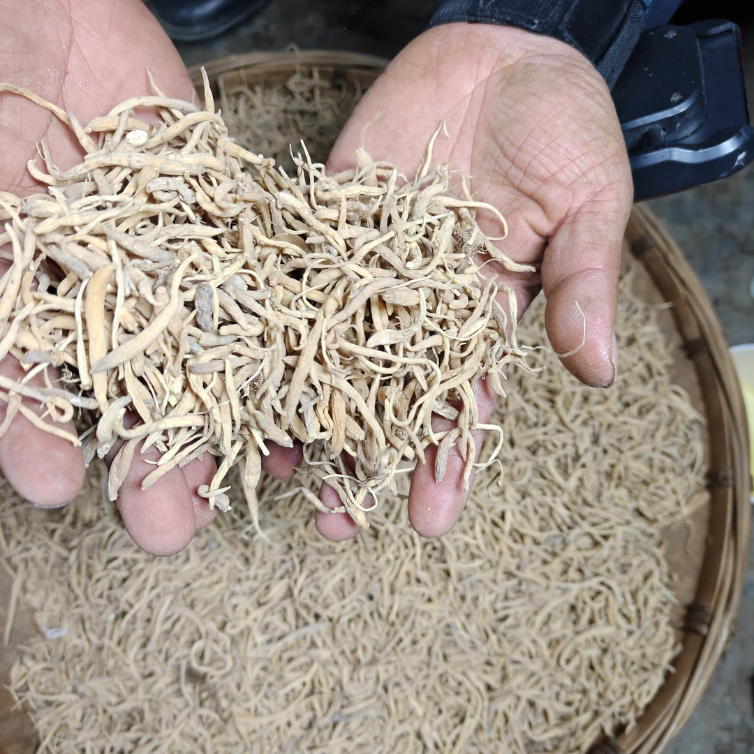 乡行者走乡村干参链接