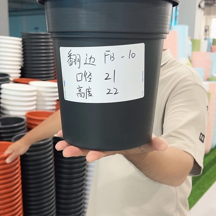 翻边口21高22混色6个无托