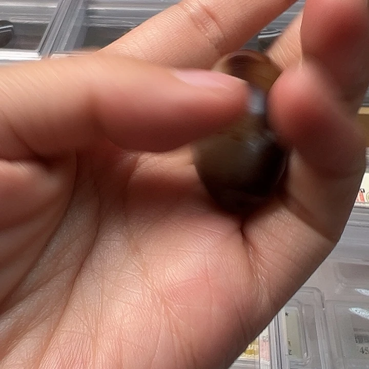 西藏拉萨保真项链