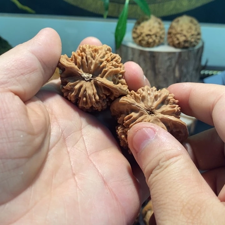 聚***材核桃精品文玩满天星