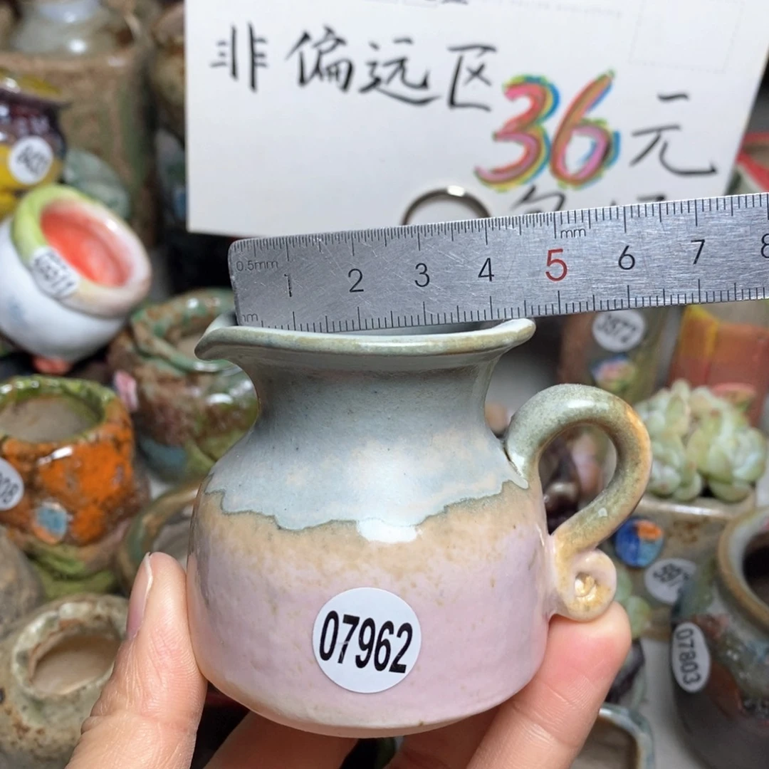 花盆拍5送一个小礼物