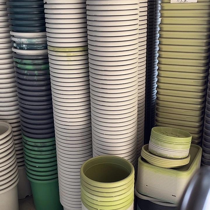 瑕疵四季盆4号果绿色发6个