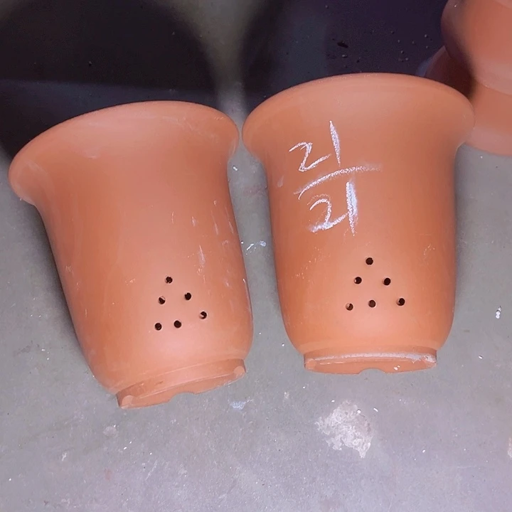 周深周深周深  再说再说