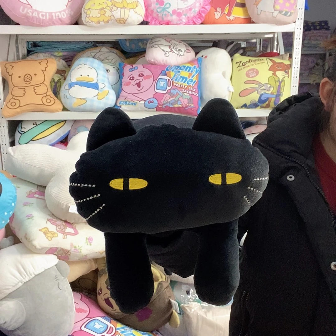 中号黑猫抱枕一个。  微瑕