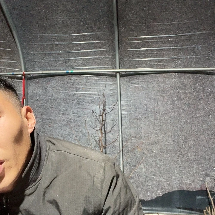 义***油潘一物一拍树枝