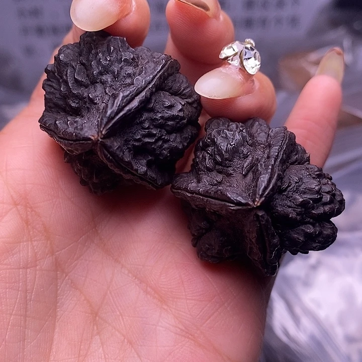 核桃云南野生铁核桃2号35mm