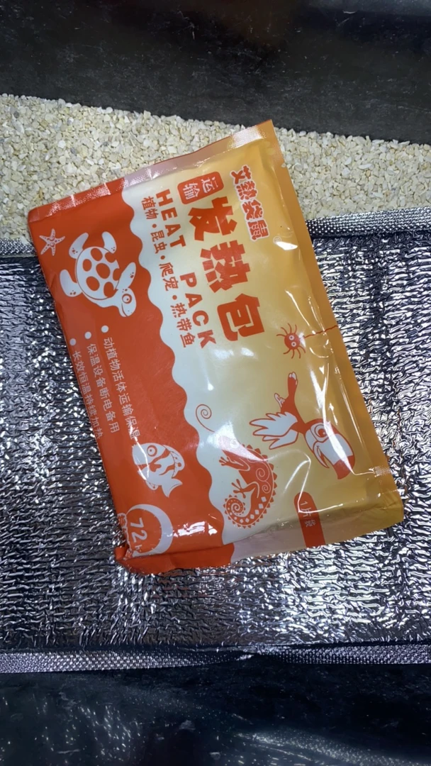寄居蟹专用保温套装 一次性用品发货后不退