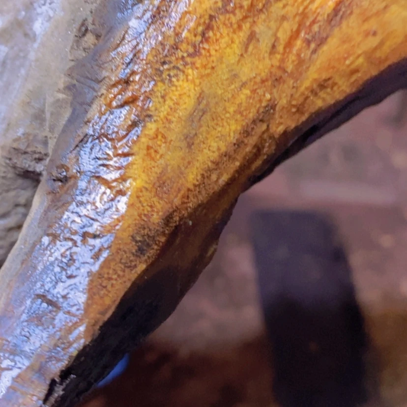 【闪购商品】贡木其他泡*定制新款