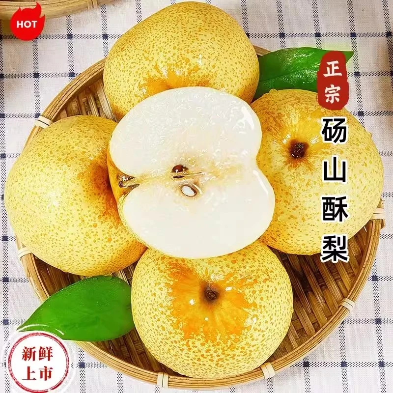 【现摘现发】 酥脆正宗砀山酥梨脆甜9斤整箱当季水果新鲜雪梨甜包邮
