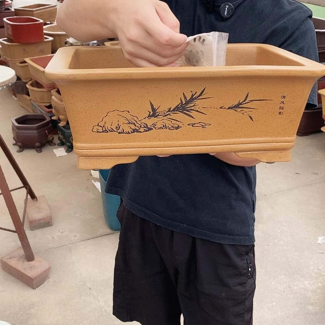 紫砂花盆紫砂花盆