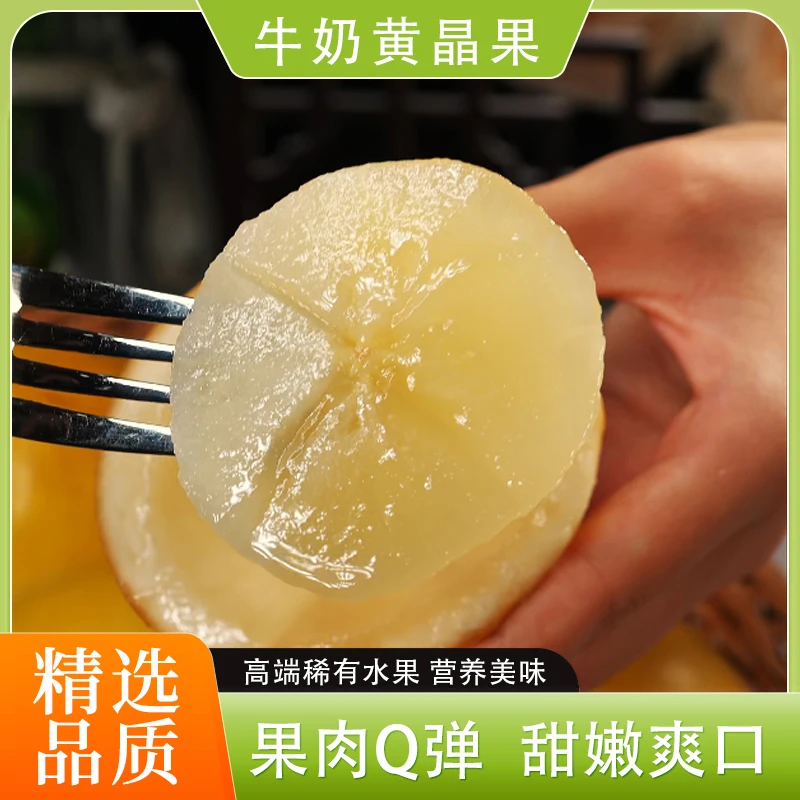 【京东】广东牛奶黄晶果新鲜高端水果滑嫩多汁营养美味精选1斤起
