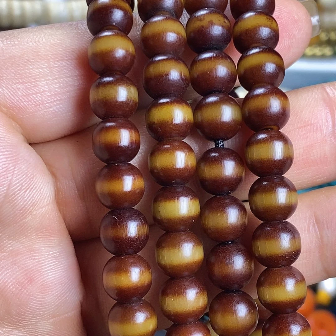 ………………………………………………