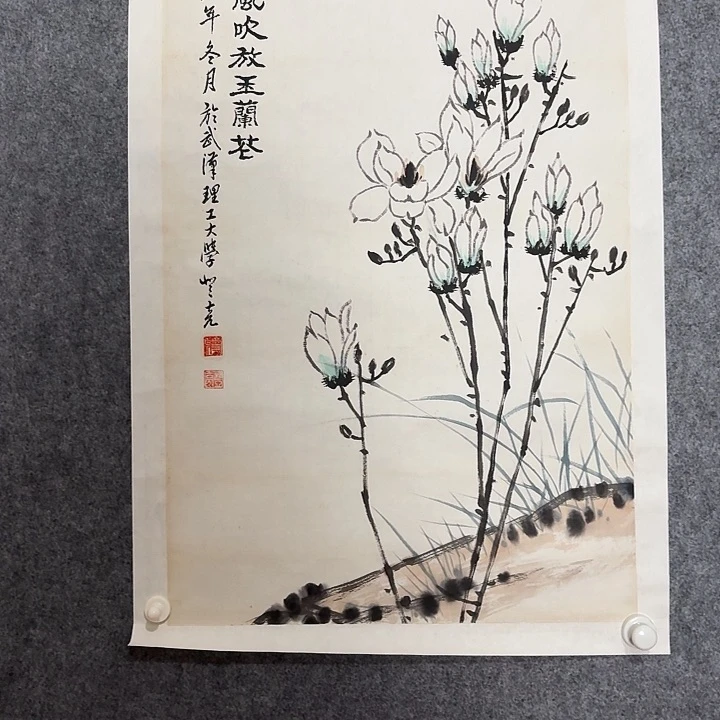 国画蒋勤蔬蒋蒋蒋