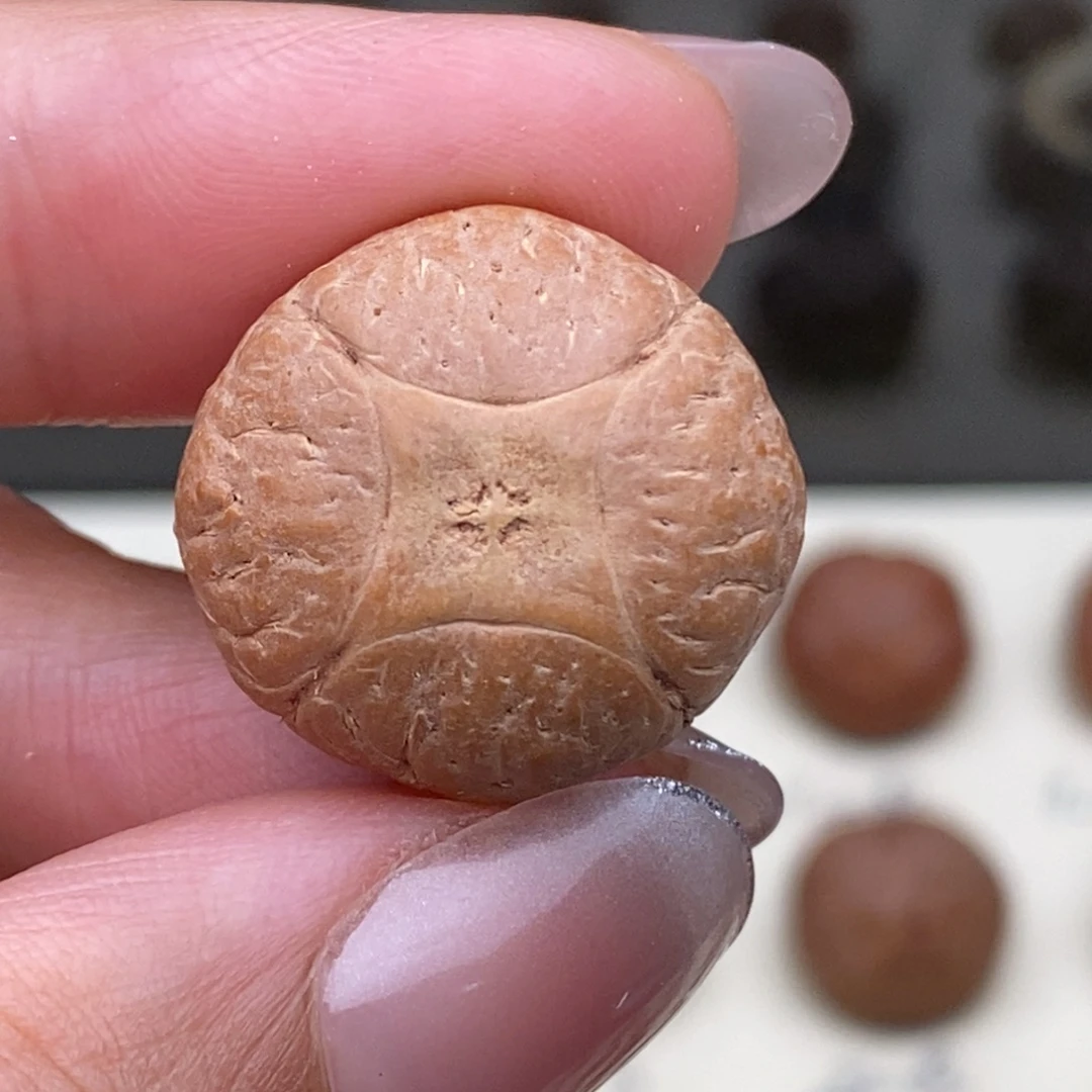 @****凤眼菩提吊坠麒麟