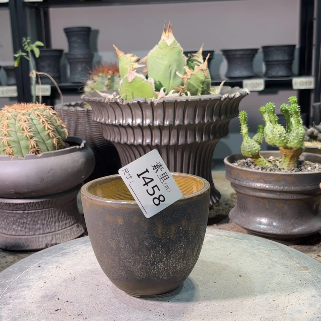 景德镇手工素里内口9高8.5