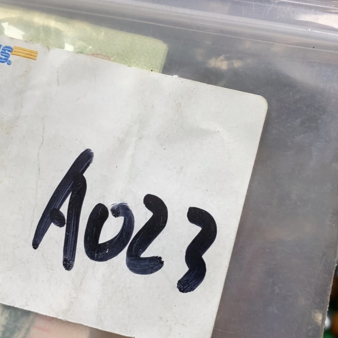 阿***凯吊坠龙脊菩提德宝文玩直播间专属链接