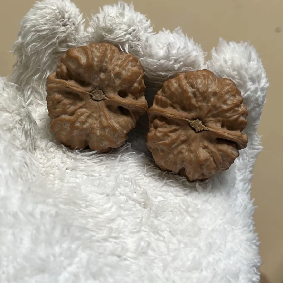 文玩核桃元宝纹路浅皮质硬骨质密度高油性足走色牛津红