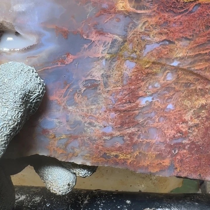 金***晏定制玛瑙玛瑙手镯5