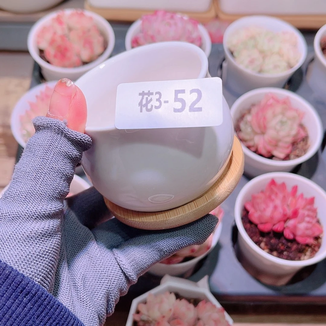 花03-52花盆一个