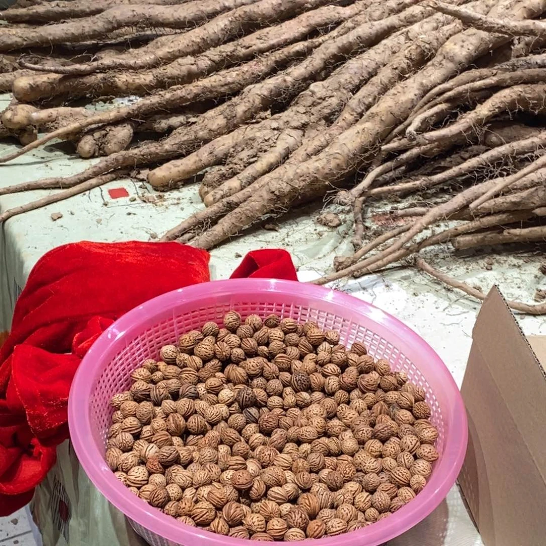 六道木六道木原木把件六道木