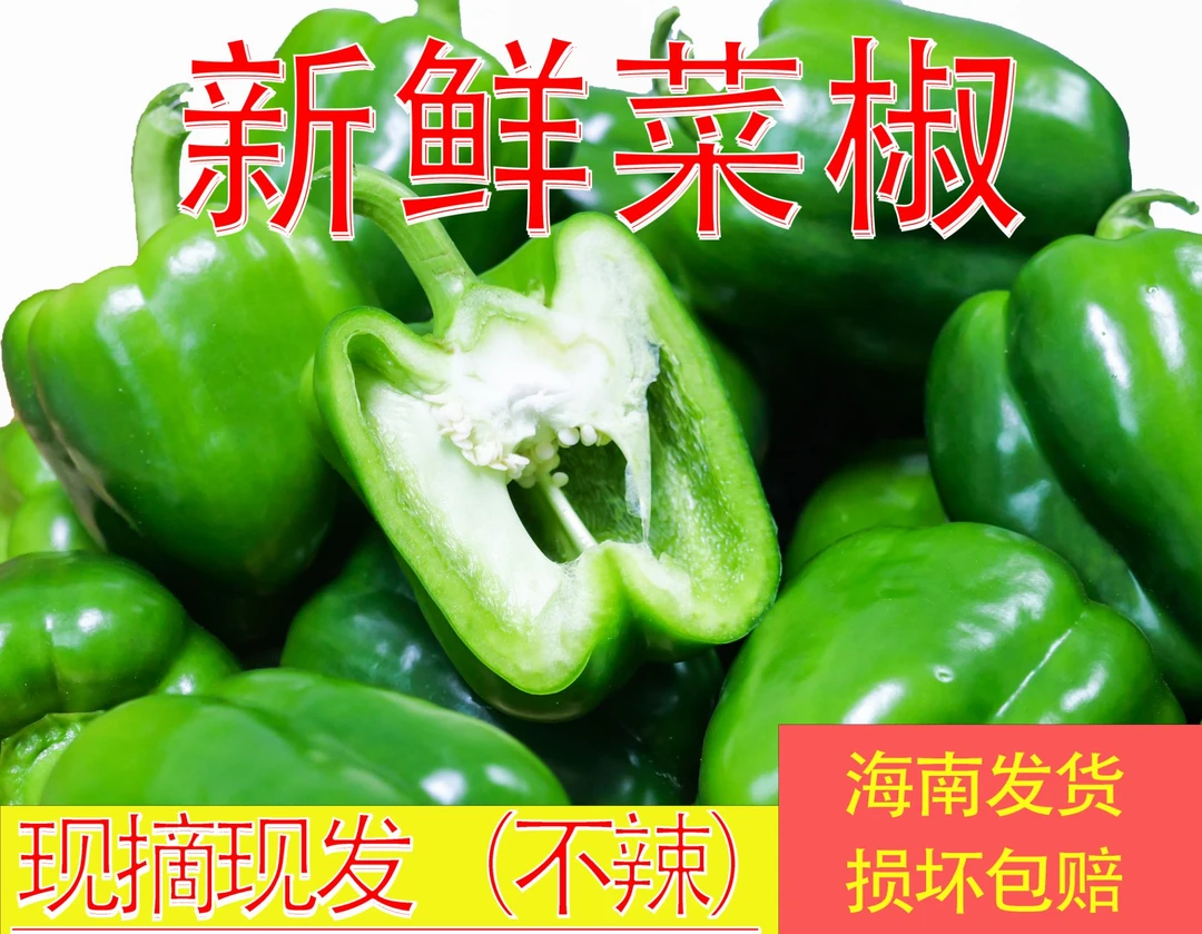 海南本土菜椒反季【产地直发】新鲜现摘现发青椒助农 5斤装 10斤装