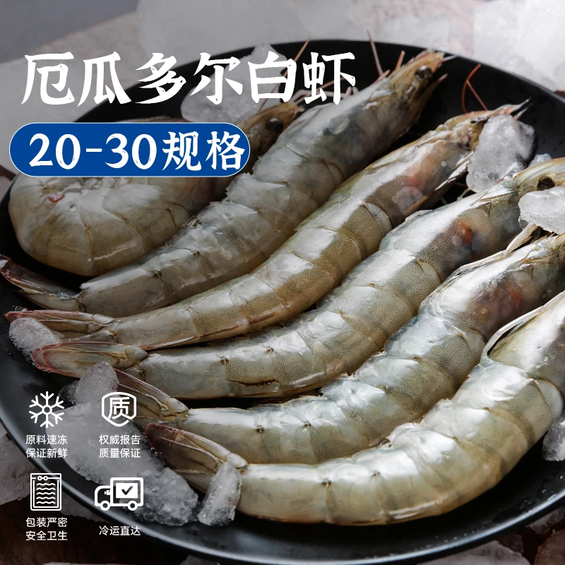 【QQ】厄瓜多尔南美白虾单只盐冻1.65KG/盒 规格20-30
