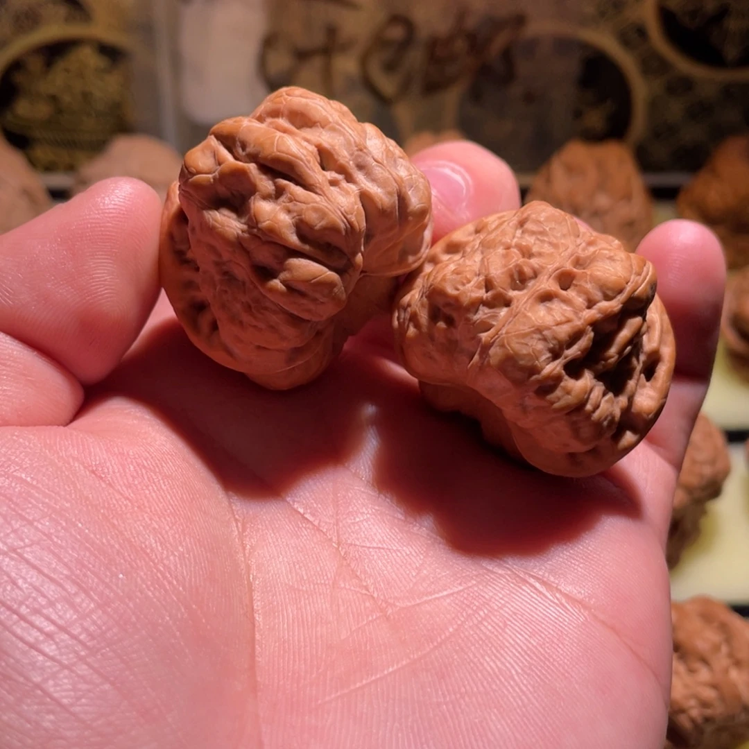 延庆一代山地蛤蟆头