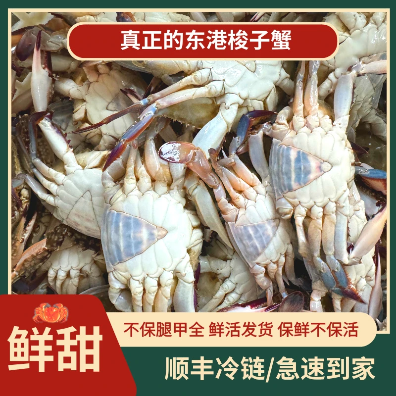 【冻蟹】三角蟹梭子蟹2两左右 一斤4只左右2-3斤装不保腿甲全