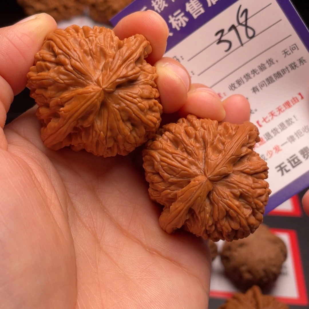 消***芒文玩核桃把件白狮子42尺