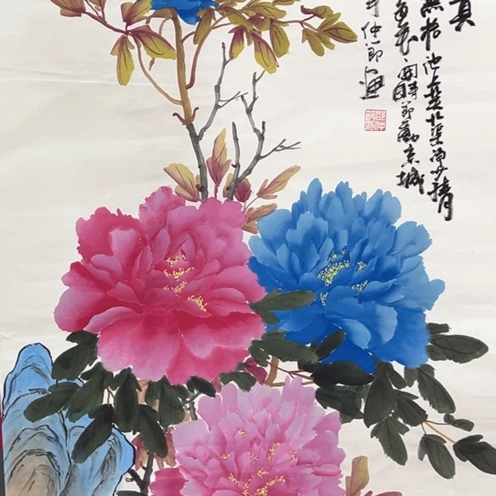 横款福利来了来了来啦
