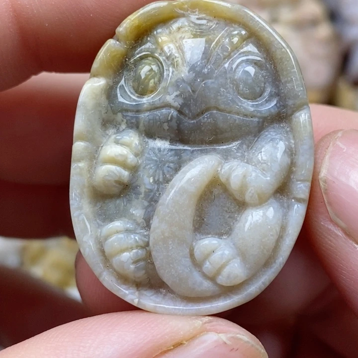 颈饰未镶嵌硅化珊瑚（珊瑚玉）小