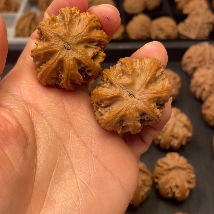 吊坠文玩核桃我想和你们好好说