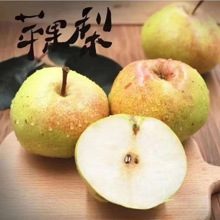 正宗延边三合苹果梨梨子东北决赛酸甜多汁口感细腻旅行张升民