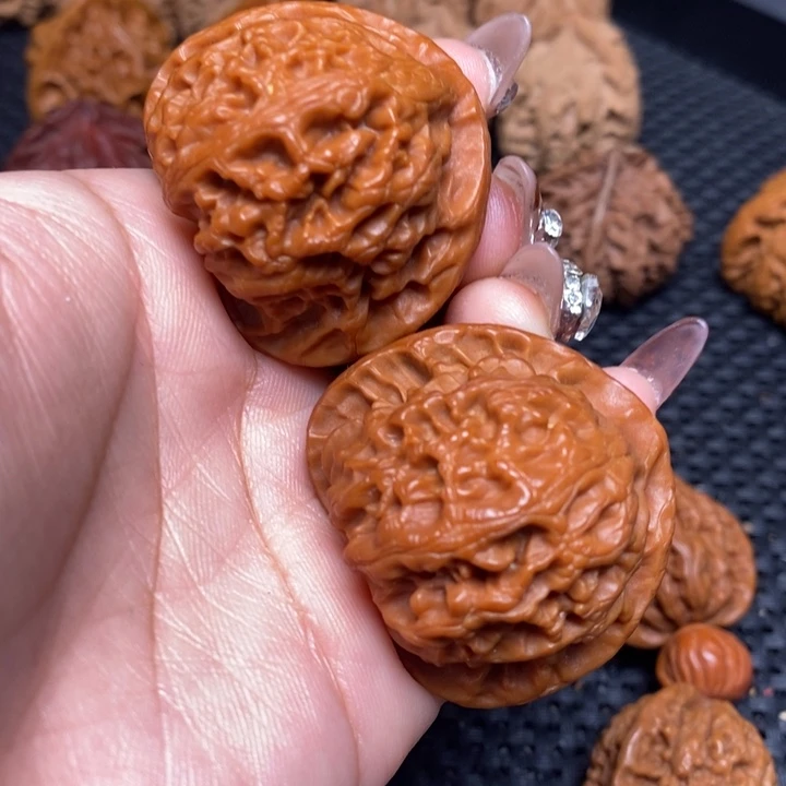 秦岭野生0099900058