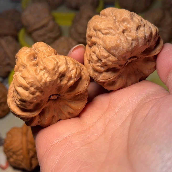 核桃蛙蛙43。。。。。。。。。。。