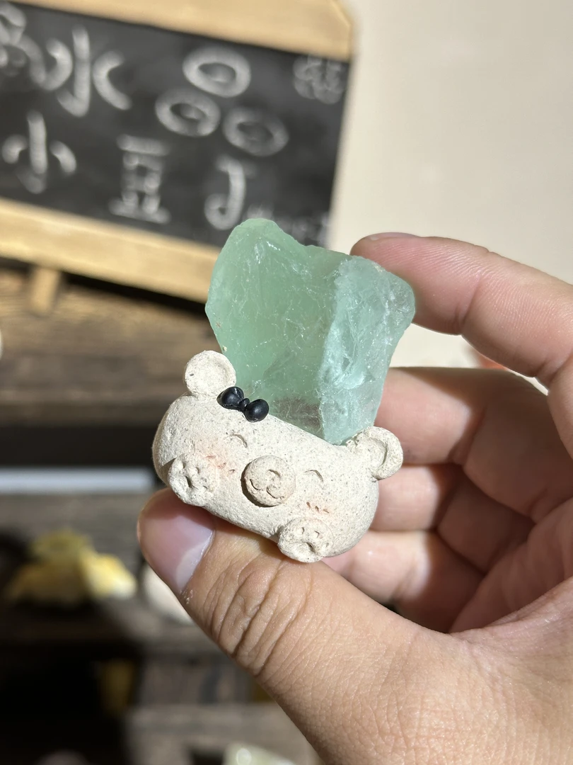 水晶小豆丁应试小熊a1