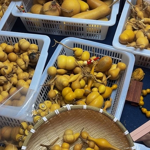 晗**儿是否会姐姐姐姐姐姐和房东