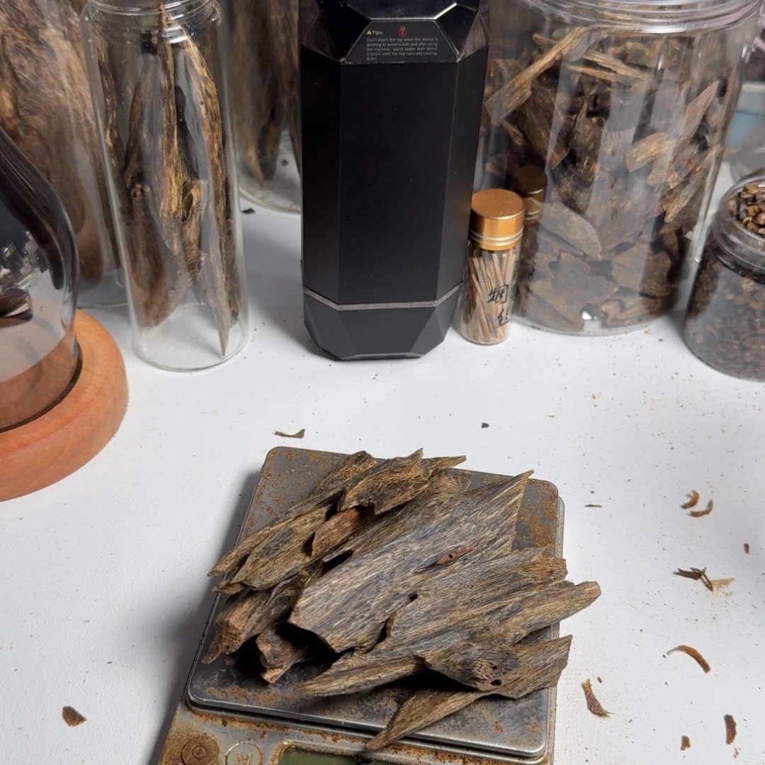 斑纹漆（虎斑木）豆*宝天然虫漏53克