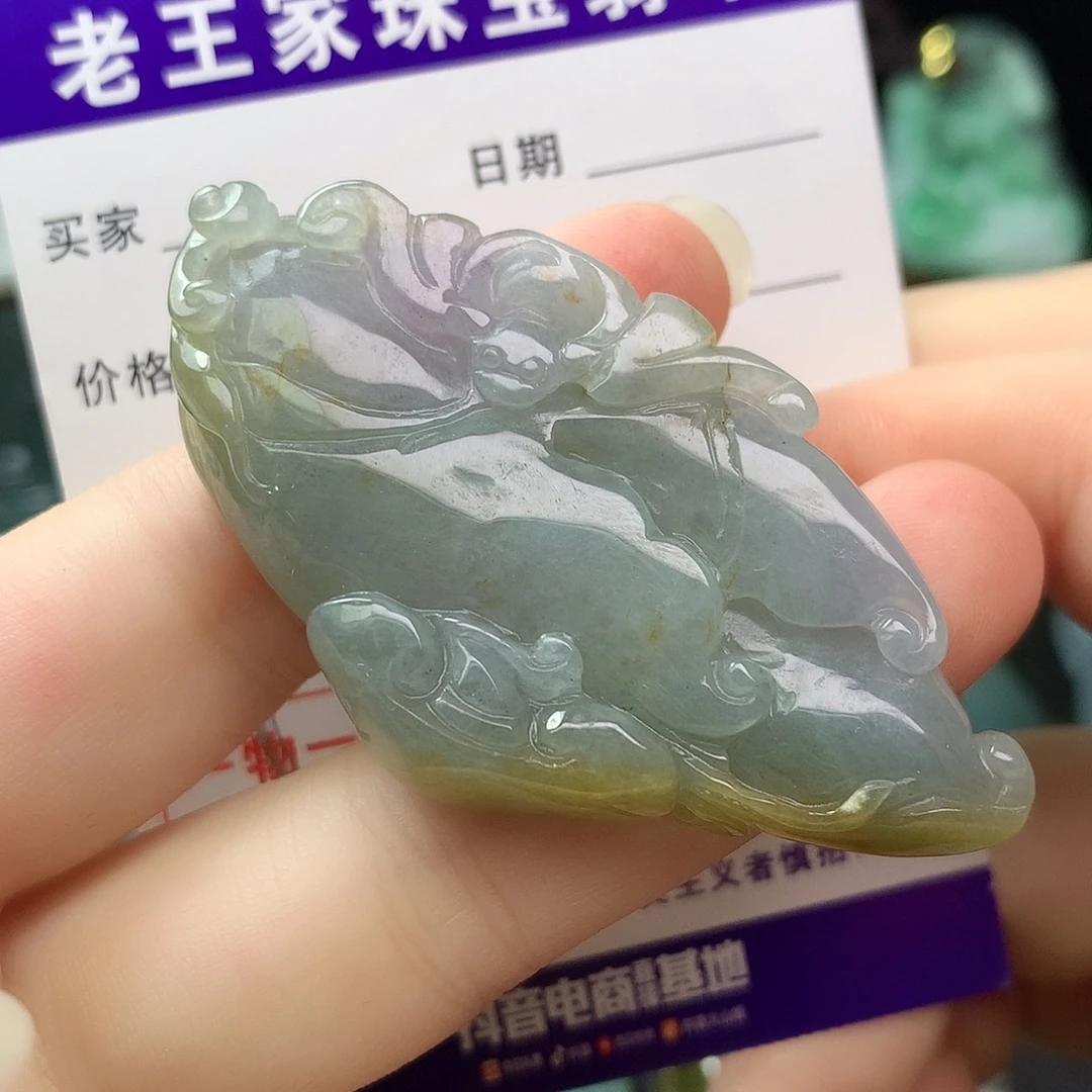 翡翠未镶嵌颈饰人生