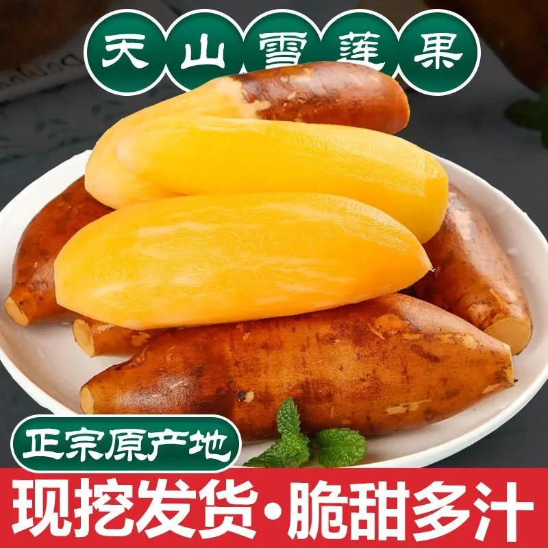 【2025年新茬雪莲果】云南天山雪莲果黄心脆甜多汁新鲜水果整箱包邮