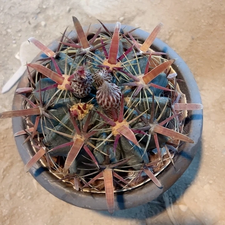 一***。哈哈哈哈哈哈哈哈哈哈哈哈哈哈