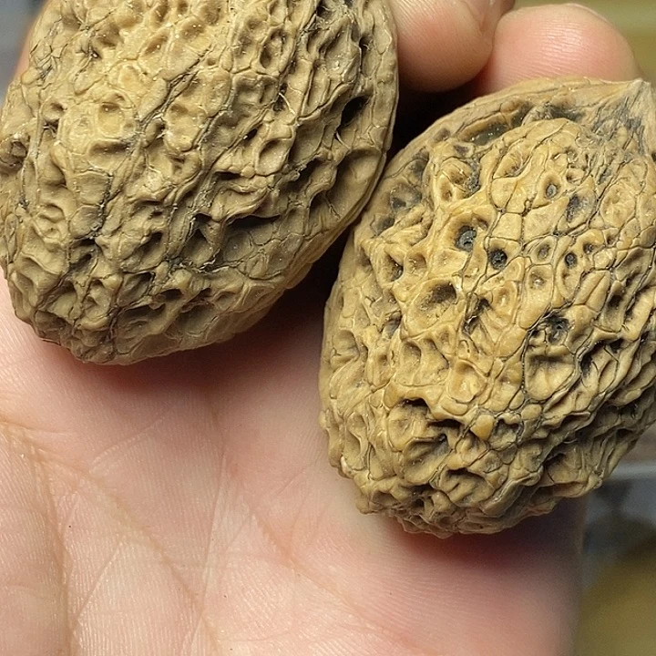 文玩核桃把件云南铁核桃83