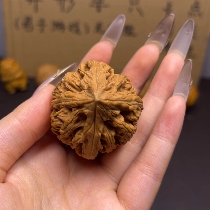 有***角菩提籽类四棱单只异型有瑕