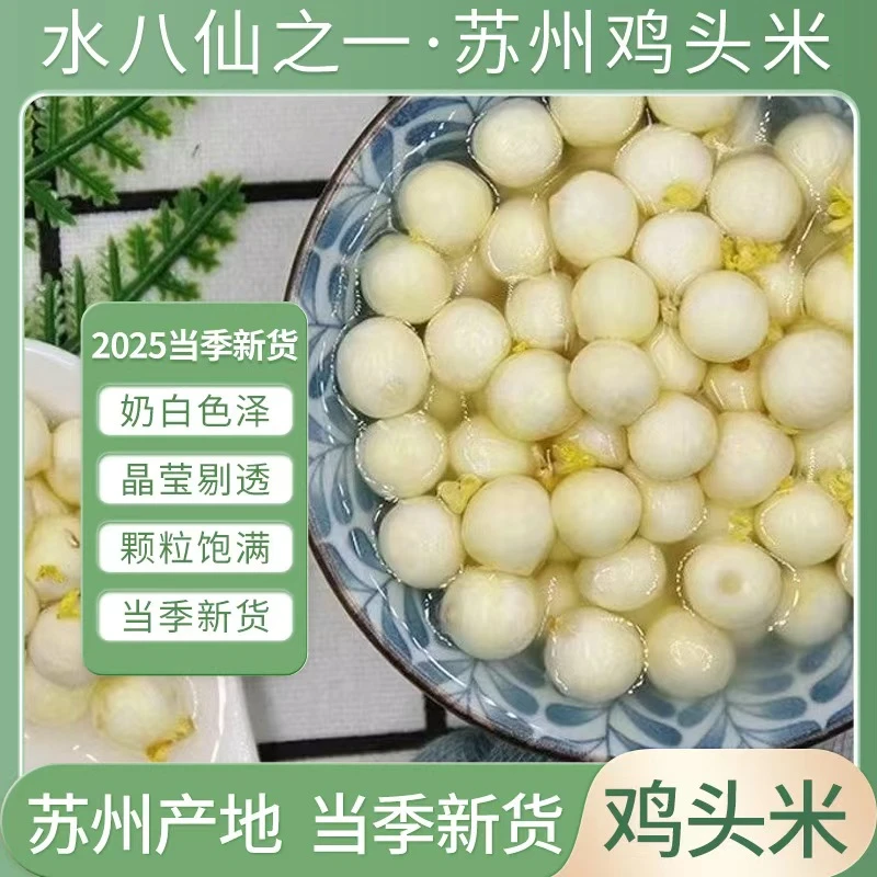 2025年大颗粒苏州芡实鸡头米超大米