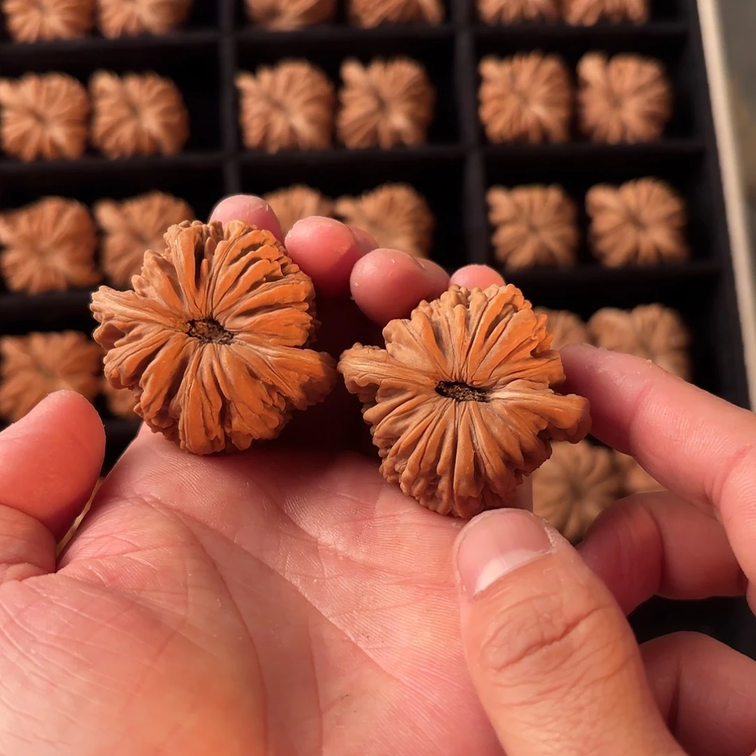 核桃手串/手链6666666