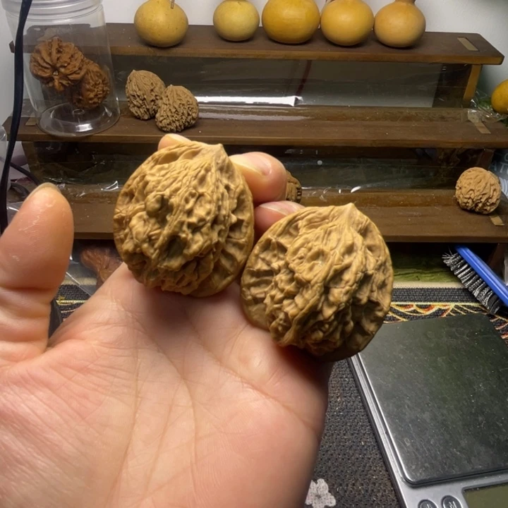 核桃麦穗虎头全品41.40.44