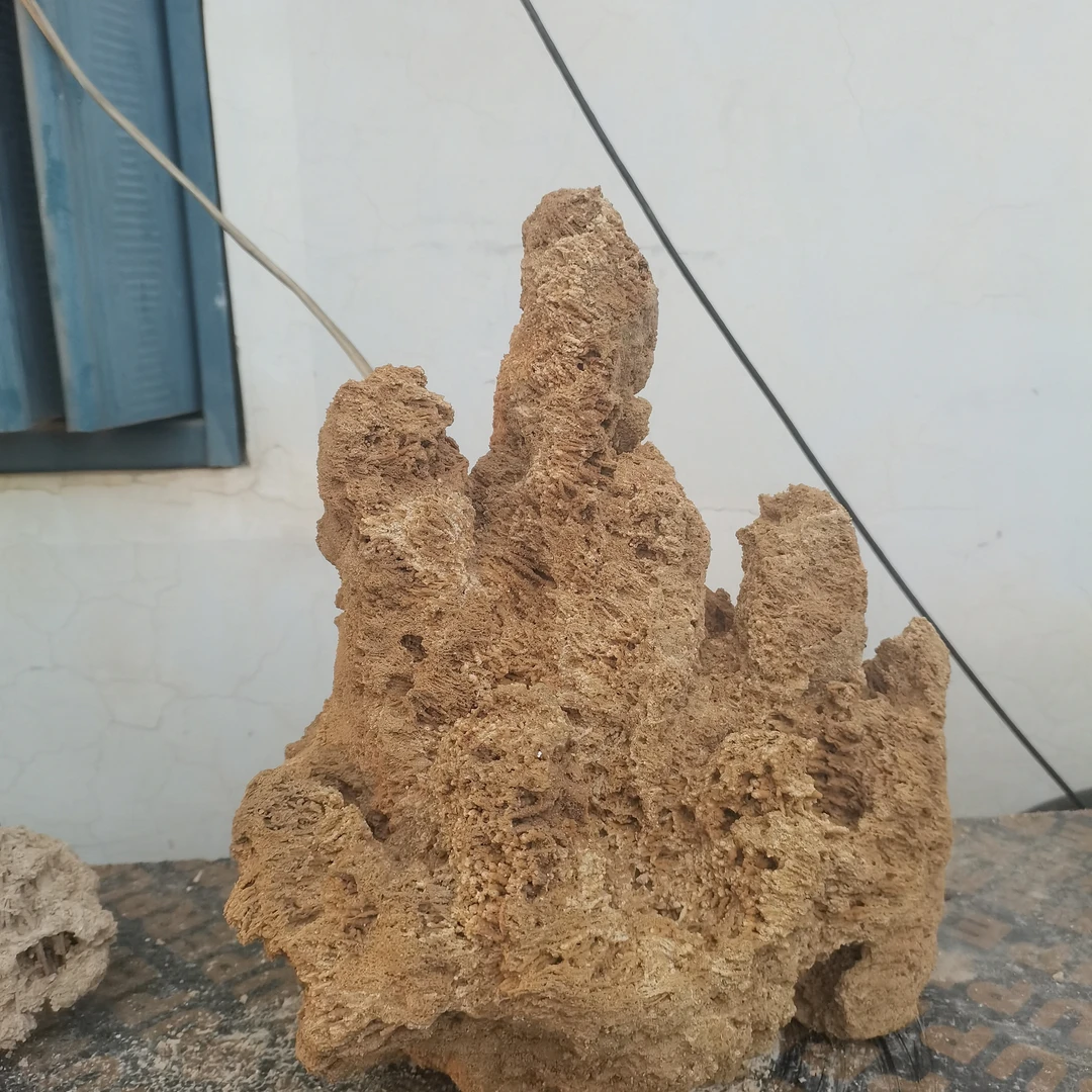 吸水石定制款吸水石盆景一物一拍不支持七天无理由退货退款