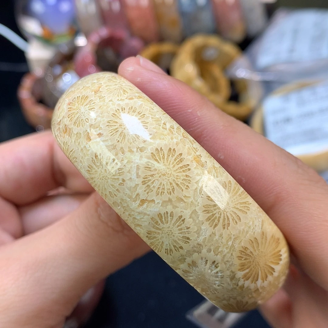 【闪购商品】颈饰未镶嵌硅化珊瑚（珊瑚玉）65号56圈双面大花