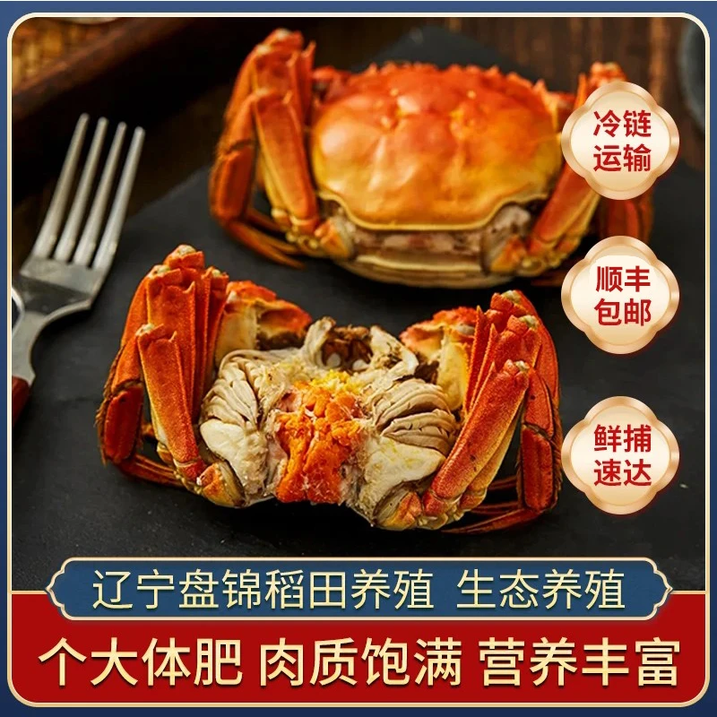 【活蟹】盘锦河蟹母蟹1.3-1.5两/只 3斤全活蟹！！！