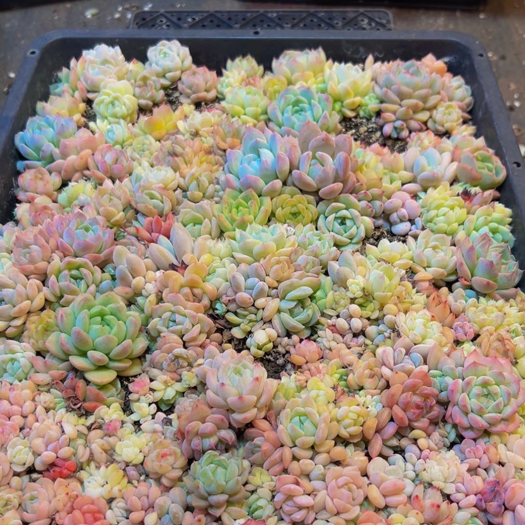 745的最后几个小时